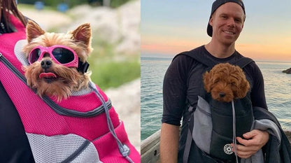 Hundryggsäck för Vandring – Ventilerande Bärväska (Mesh)